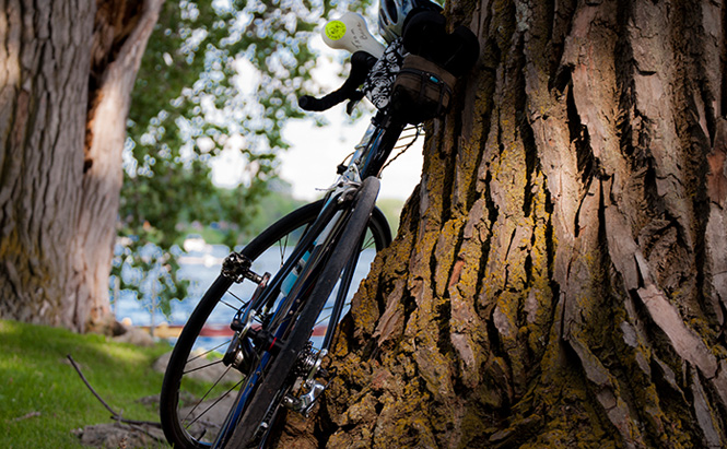 Bicycle in Iowa, 2010